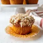 Pumpkin Cinnamon Streusel Muffins Recipe