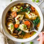 Potsticker Soup Recipe