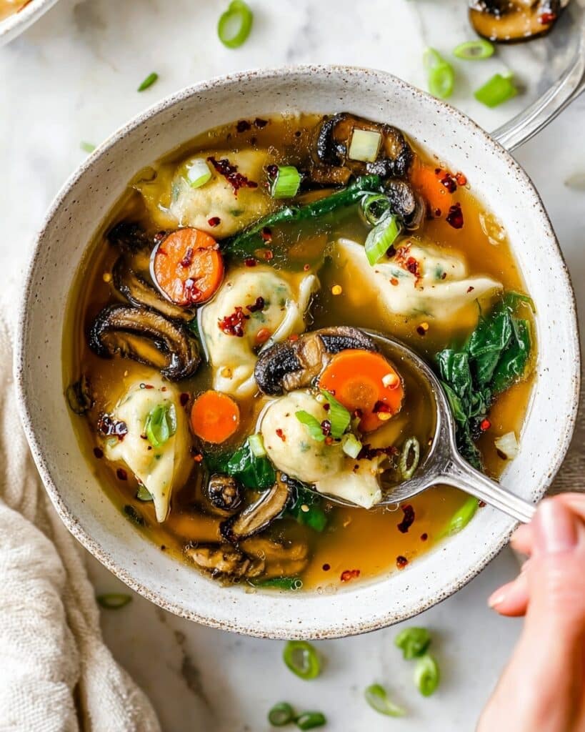 Potsticker Soup Recipe