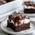Mississippi Mud Cake Recipe