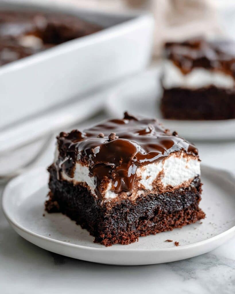 Mississippi Mud Cake Recipe