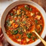 High Protein Vegetable Lentil Soup Recipe