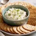 Slow Cooker Hot Crab Dip Recipe