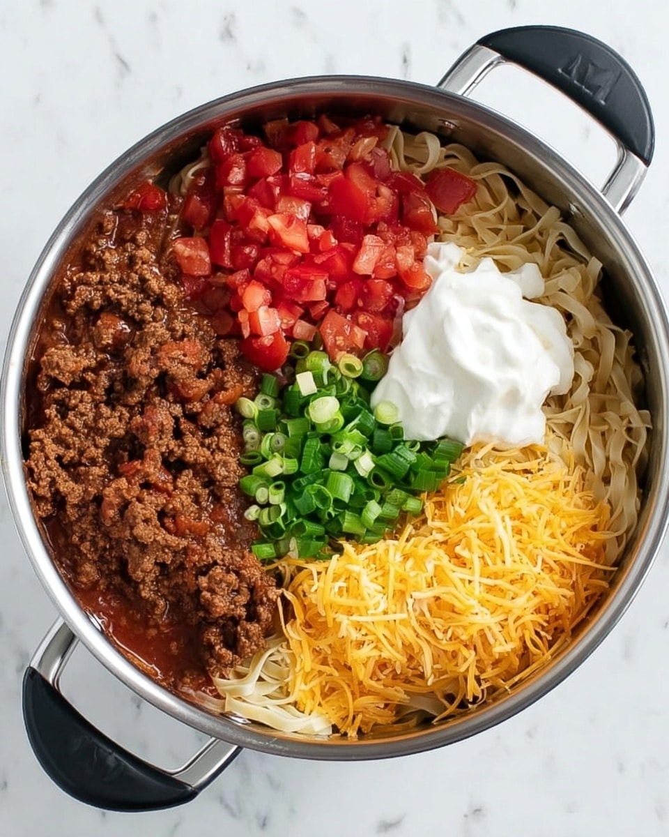 This image shows a round silver pot with black handles on a white marbled surface, filled with several layers of food before cooking. The bottom layer is a light cream color of uncooked noodles, mostly hidden under the toppings. On top, there is a large section of dark brown cooked ground meat mixed with sauce in the upper right, bright red diced tomatoes in the upper left, a pile of shredded yellow and orange cheddar cheese in the lower right, a dollop of white sour cream next to the cheese, and fresh chopped bright green onions in the center. Each topping is clearly separated, forming distinct colorful sections inside the pot. Photo taken with an iphone --ar 4:5 --v 7