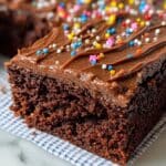 The Best Rich and Moist Chocolate Cake Recipe