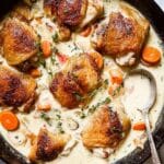 Classic Chicken Fricassee with Creamy Sauce Recipe