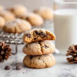 Chocolate Molasses Cookies Recipe