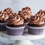 Decadent Chocolate Cupcakes with Rich Homemade Frosting Recipe