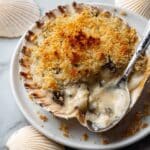 Cheesy Scallop Gratin with Mushroom Béchamel Recipe