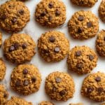 Pumpkin Oatmeal Chocolate Chip Cookies Recipe