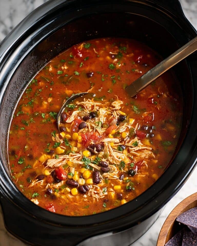 Slow Cooker Chicken Tortilla Soup Recipe
