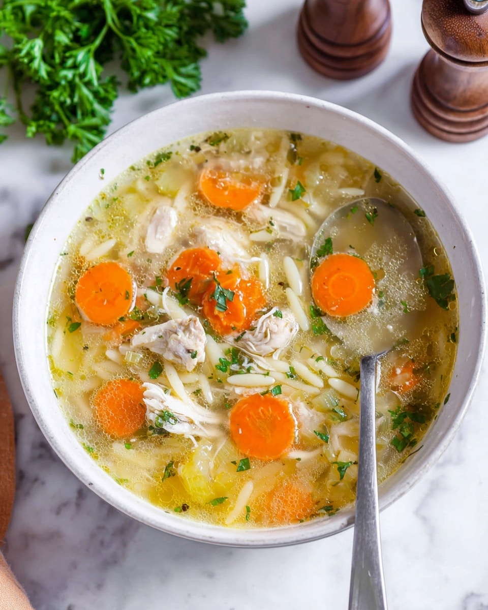 A close-up view of a big white pot filled with clear broth soup that has visible layers of bright orange carrot slices, light green celery pieces, chunks of light beige meat, white orzo pasta, and chopped white onions, all floating together with small bits of green herbs sprinkled throughout. The soup looks warm and fresh with a shiny, soft texture to the vegetables and meat. A silver ladle is lifting a scoop of the soup to show the layers clearly. The scene is set on a white marbled surface with some blurred greenery in the background. Photo taken with an iphone --ar 4:5 --v 7