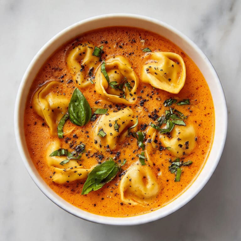 Tomato Tortellini Soup Recipe