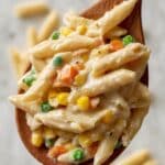 Crock Pot Chicken Pot Pie Pasta Recipe
