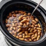 Crock Pot Boiled Peanuts Recipe