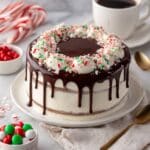 Chocolate Peppermint Cake Recipe