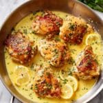 Garlic Parmesan Chicken Recipe