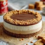Biscoff Cheesecake with 5 Ingredients Recipe