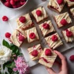 Raspberry White Chocolate Blondies Recipe