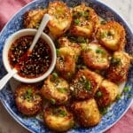 Crispy Rice Paper Dumplings Recipe