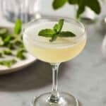 Juliet and Romeo Cocktail Recipe