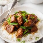Slow-Cooker Peach and Green Chile Pork Recipe