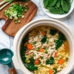 Lemongrass Ginger Chicken Noodle Soup Recipe