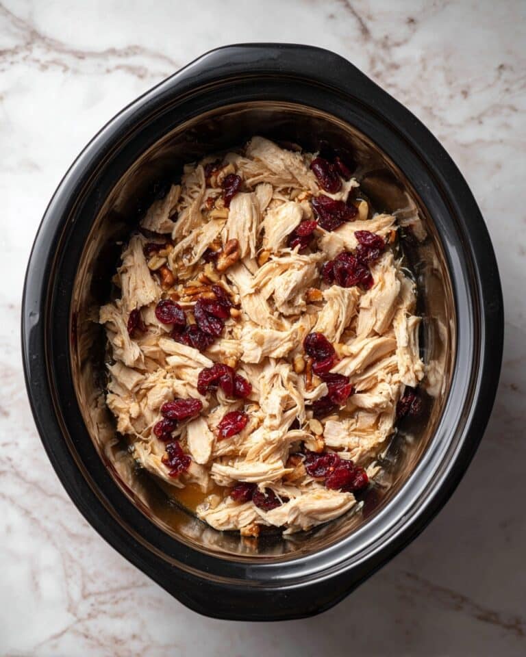 Crockpot Cranberry Pork Loin Recipe