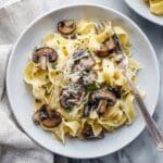 Creamy Oyster Mushroom Pasta Recipe