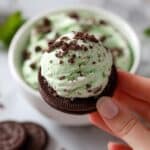 Mint Chocolate Chip Dip Recipe