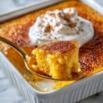 Pumpkin Protein Breakfast Cake Recipe