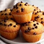Cottage Cheese Muffins with Chocolate Chips Recipe